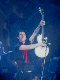 Billie Joe King Of Punk